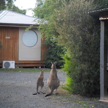 Grampians Chalets Villa Halls Gap Buitenkant foto