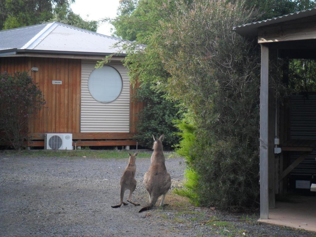 Grampians Chalets Villa Halls Gap Buitenkant foto